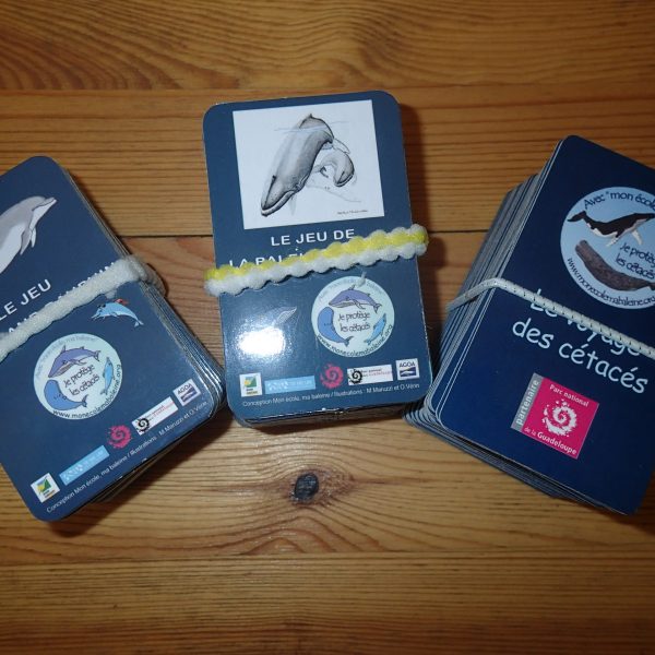 3 types de jeu de cartes questions/réponses à vendre séparemment :
le Grand dauphin, la Baleine à bosse, ou le voyage des cétacés